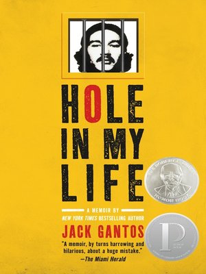 cover image of Hole In My Life